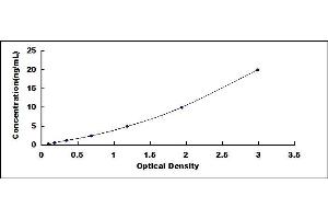 Typical standard curve (ATP6AP2 ELISA 试剂盒)