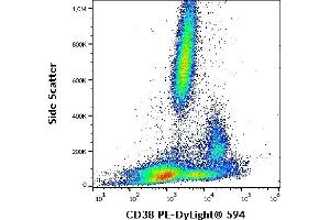 Flow cytometry surface staining pattern of human peripheral whole blood stained using anti-human CD38 (HIT2) PE-DyLight® 594 (4 μL reagent / 100 μL of peripheral whole blood).