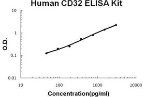 Human CD32/FCGR2b/c PicoKine ELISA Kit standard curve (FCGR2B ELISA 试剂盒)