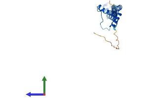 Protein Structure (PS) image for Polyamine Modulated Factor 1 (PMF1) (AA 1-202) protein (His tag) (ABIN7560486)