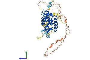 AlphaFold protein structure predicition of Mouse Recombinant Foxr2 Protein, UniprotID Q3UM89