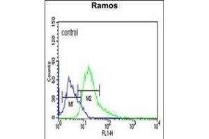 ARHG Antibody (C-term) (ABIN651188 and ABIN2840117) flow cytometric analysis of Ramos cells (right histogram) compared to a negative control cell (left histogram). (ARHGAP30 抗体  (C-Term))
