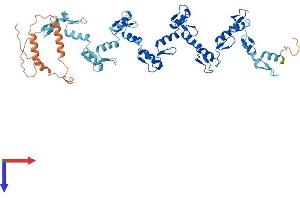 AlphaFold protein structure predicition of Human Recombinant ZNF678 Protein, UniprotID Q5SXM1