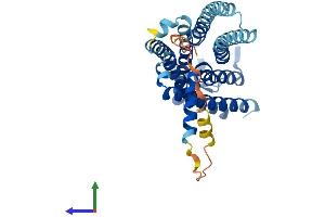 Protein Structure (PS) image for G Protein-Coupled Receptor 78 (GPR78) (AA 1-363) protein (His tag) (ABIN7548179)
