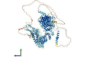 Protein Structure (PS) image for Adaptor-Related Protein Complex 4, epsilon 1 Subunit (AP4E1) (AA 1-1137) protein (His tag) (ABIN7552168)