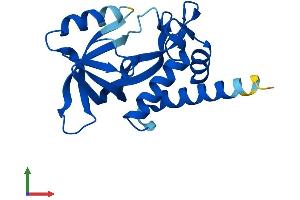 Protein Structure (PS) image for ChaC, Cation Transport Regulator Homolog 2 (CHAC2) (AA 1-184) protein (His tag) (ABIN7553248)