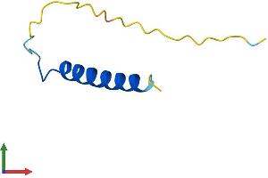 Protein Structure (PS) image for Purkinje Cell Protein 4 (PCP4) (AA 1-62) protein (Fc Tag) (ABIN7550663)