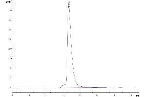 Size-exclusion chromatography-High Pressure Liquid Chromatography (SEC-HPLC) image for L1 Cell Adhesion Molecule (L1CAM) (AA 20-1120) protein (His tag) (ABIN7275124)