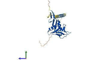 Protein Structure (PS) image for Killer Cell Lectin-Like Receptor Subfamily F, Member 2 (KLRF2) (AA 1-207) protein (His tag) (ABIN7548932)