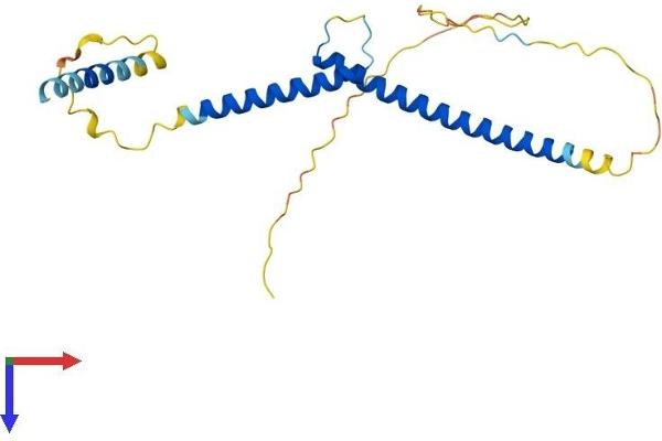 MXD1 Protein (AA 1-221) (His tag)