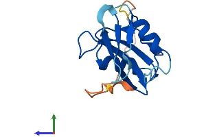 AlphaFold protein structure predicition of Human Recombinant SH2D1B Protein, UniprotID O14796