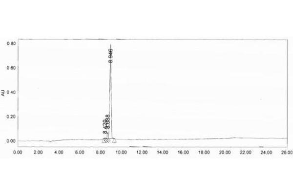 BNP Protein (Ovalbumin)