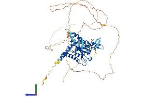 Protein Structure (PS) image for Septin 9 (SEPT9) (AA 1-586) protein (His tag) (ABIN7546012)