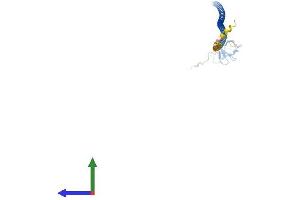 Protein Structure (PS) image for Calcium Binding and Coiled-Coil Domain 2 (CALCOCO2) (AA 1-331) protein (His tag) (ABIN7561870)