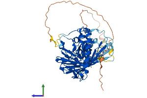 Protein Structure (PS) image for Oxysterol Binding Protein-Like 2 (OSBPL2) (AA 1-480) protein (His tag) (ABIN7550534)