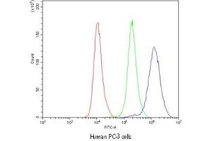 Flow cytometry testing of human PC-3 cells with CASP8 antibody at 1ug/10^6 cells (cells blocked with goat sera) (Caspase 8 抗体  (AA 410-449))