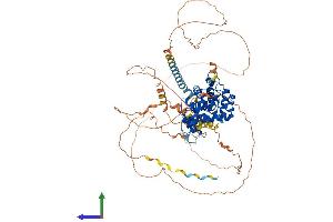 Protein Structure (PS) image for Cyclin T1 (CCNT1) (AA 1-724) protein (His tag) (ABIN7561737)