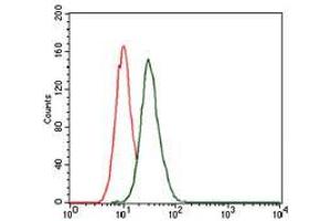 Flow cytometric analysis of HeLa cells using MAP1LC3B mouse mAb (green) and negative control (red). (LC3B 抗体)
