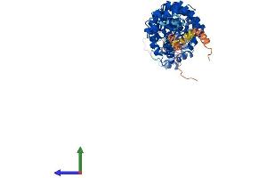 Protein Structure (PS) image for Karyopherin alpha 7 (Importin alpha 8) (KPNA7) (AA 1-516) protein (His tag) (ABIN7548479)