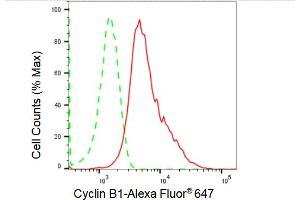 Flow cytometric analysis of Cyclin B1 expression in HepG2 cells using Cyclin B1 antibody (ABIN7798191), 1:2,000). (Recombinant Cyclin B1 抗体)