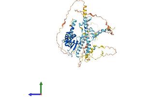 Protein Structure (PS) image for Non-SMC Condensin II Complex, Subunit H2 (NCAPH2) (AA 1-607) protein (His tag) (ABIN7558859)