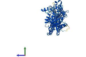 Protein Structure (PS) image for glycerophosphodiester phosphodiesterase Domain Containing 2 (GDPD2) (AA 1-539) protein (His tag) (ABIN7553995)
