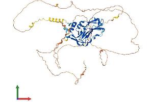 Protein Structure (PS) image for T-Box 15 (TBX15) (AA 1-602) protein (His tag) (ABIN7562533)
