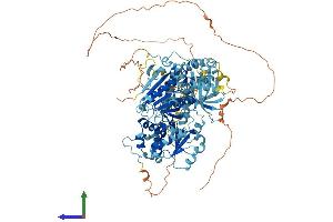 Protein Structure (PS) image for DNA repair and recombination protein RAD54B (RAD54B) (AA 1-910) protein (His tag) (ABIN7555144)