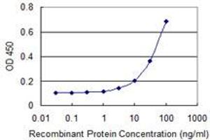Detection limit for recombinant GST tagged NFKBIB is 1 ng/ml as a capture antibody. (NFKBIB 抗体  (AA 56-145))