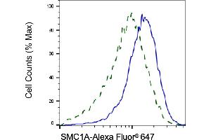 Validation of SMC1A knockdown using flow cytometry. (Recombinant SMC1A 抗体)
