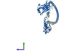 AlphaFold protein structure predicition of Mouse Recombinant Traf3 Protein, UniprotID Q60803 (TRAF3 Protein (AA 1-567) (His tag))