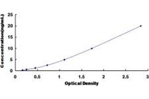 Typical standard curve (SLC1A1 ELISA 试剂盒)