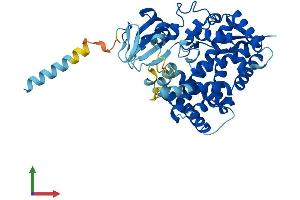 Protein Structure (PS) image for Cytochrome P450, Family 20, Subfamily A, Polypeptide 1 (CYP20A1) (AA 1-462) protein (His tag) (ABIN7546713)