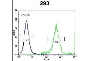 FE Antibody (C-term) (ABIN651998 and ABIN2840489) flow cytometric analysis of 293 cells (right histogram) compared to a negative control cell (left histogram). (FAM26E 抗体  (C-Term))