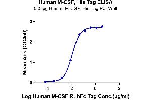 ELISA image for Colony Stimulating Factor 1 (Macrophage) (CSF1) (AA 33-190) protein (His-Avi Tag) (ABIN7274425)