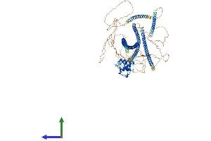 AlphaFold protein structure predicition of Mouse Recombinant Specc1 Protein, UniprotID Q5SXY1