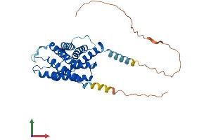 Protein Structure (PS) image for Aquaporin 4 (AQP4) (AA 1-323) protein (His tag) (ABIN7556460)
