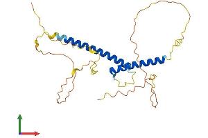 Protein Structure (PS) image for Oligodendrocyte Transcription Factor 1 (OLIG1) (AA 1-260) protein (His tag) (ABIN7561641)