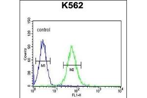 MIN Antibody (N-term) (ABIN654085 and ABIN2843973) flow cytometric analysis of K562 cells (right histogram) compared to a negative control cell (left histogram). (MINPP1 抗体  (N-Term))
