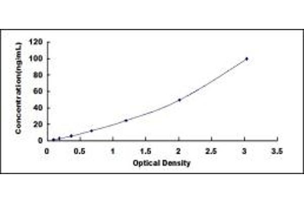 D Amino Acid Oxidase ELISA 试剂盒