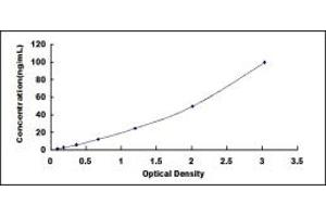 Typical standard curve (D Amino Acid Oxidase ELISA 试剂盒)