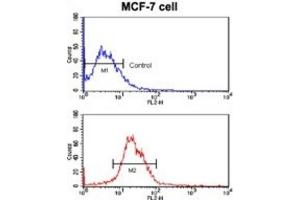 Flow Cytometry (FACS) image for anti-Kruppel-Like Factor 4 (Gut) (KLF4) antibody (ABIN2936746) (KLF4 抗体)