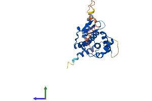 Protein Structure (PS) image for XRCC6 Binding Protein 1 (XRCC6BP1) (AA 1-246) protein (His tag) (ABIN7552445)