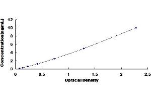 Typical Standard Curve for Mouse CCT2 ELISA. (CCT2 ELISA 试剂盒)