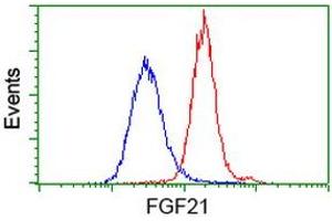 Flow cytometric Analysis of Hela cells, using anti-FGF21 antibody (ABIN2454474), (Red), compared to a nonspecific negative control antibody, (Blue). (FGF21 抗体  (AA 29-209))