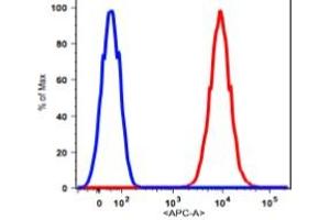 Flow Cytometry (FACS) image for anti-CD90 (THY1) antibody (APC) (ABIN2704361) (CD90 抗体  (APC))