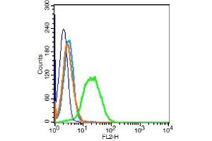 Flow Cytometry (FACS) image for anti-TNF Receptor-Associated Factor 3 (TRAF3) (AA 101-200) antibody (ABIN738921)