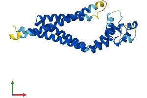 Protein Structure (PS) image for Tetraspanin 6 (TSPAN6) (AA 1-245) protein (His tag) (ABIN7544753)