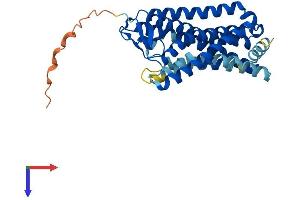 AlphaFold protein structure predicition of Human Recombinant OR8A1 Protein, UniprotID Q8NGG7 (OR8A1 Protein (AA 1-326) (His tag))