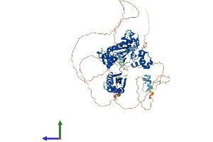 Protein Structure (PS) image for Polymerase (DNA Directed) iota (POLI) (AA 1-717) protein (His tag) (ABIN7564143)
